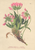[thumbnail of 11765_1.png]