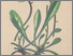 [thumbnail of 12305_1.png]