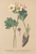 [thumbnail of 11651_1.png]