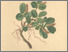 [thumbnail of 12322_1.png]