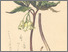 [thumbnail of 11693_1.png]