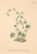 [thumbnail of 11820_1.png]