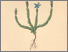 [thumbnail of 11983_1.png]