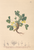 [thumbnail of 11796_1.png]