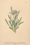 [thumbnail of 11940_1.png]