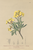 [thumbnail of 11696_1.png]