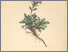 [thumbnail of 11860_1.png]