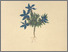 [thumbnail of 11978_1.png]