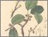 [thumbnail of 11761_1.png]
