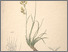 [thumbnail of 12380_1.png]