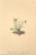 [thumbnail of 11877_1.png]