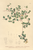 [thumbnail of 11857_1.png]