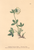 [thumbnail of 11769_1.png]