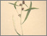 [thumbnail of 11878_1.png]