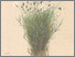 [thumbnail of 11745_1.png]