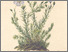 [thumbnail of 11758_1.png]