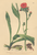 [thumbnail of 11932_1.png]