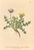 [thumbnail of 11922_1.png]