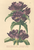 [thumbnail of 11968_1.png]