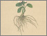 [thumbnail of 11661_1.png]