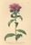 [thumbnail of 11914_1.png]