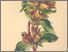 [thumbnail of 11967_1.png]