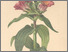 [thumbnail of 11966_1.png]