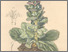 [thumbnail of 12275_1.png]