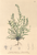 [thumbnail of 12317_1.png]