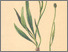 [thumbnail of 11660_1.png]