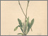 [thumbnail of 11917_1.png]