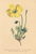 [thumbnail of 11682_1.png]