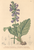[thumbnail of 12271_1.png]