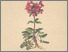 [thumbnail of 12001_1.png]