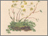 [thumbnail of 11833_1.png]
