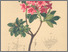 [thumbnail of 11958_1.png]