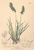 [thumbnail of 12374_1.png]