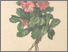 [thumbnail of 12299_1.png]