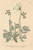 [thumbnail of 11852_1.png]