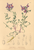 [thumbnail of 11987_1.png]