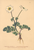 [thumbnail of 11658_1.png]