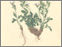[thumbnail of 11692_1.png]