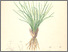[thumbnail of 12361_1.png]