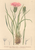 [thumbnail of 11918_1.png]