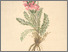 [thumbnail of 12007_1.png]
