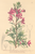 [thumbnail of 11803_1.png]