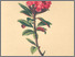 [thumbnail of 11959_1.png]