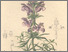 [thumbnail of 12272_1.png]