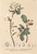 [thumbnail of 11801_1.png]