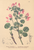 [thumbnail of 11763_1.png]